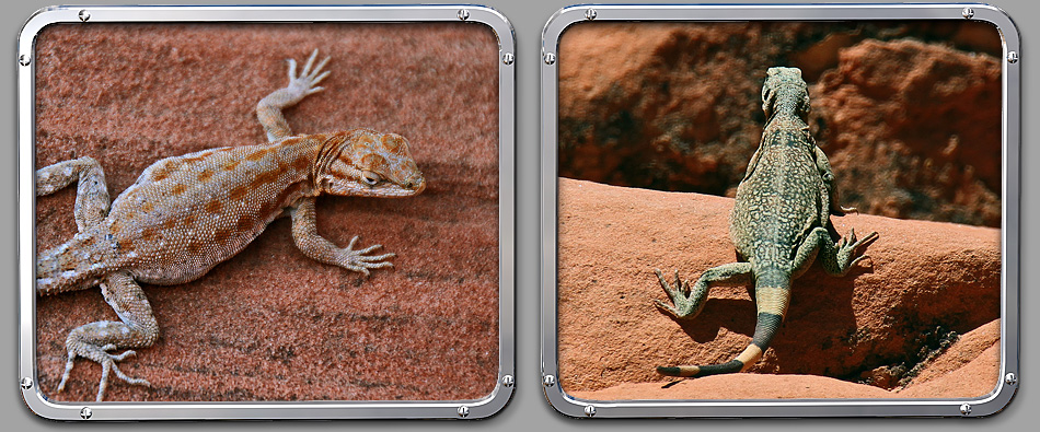 Valley of Fire