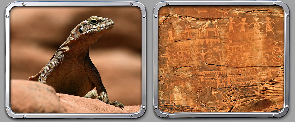 Valley of Fire, Petroglyph