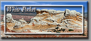 White Pocket